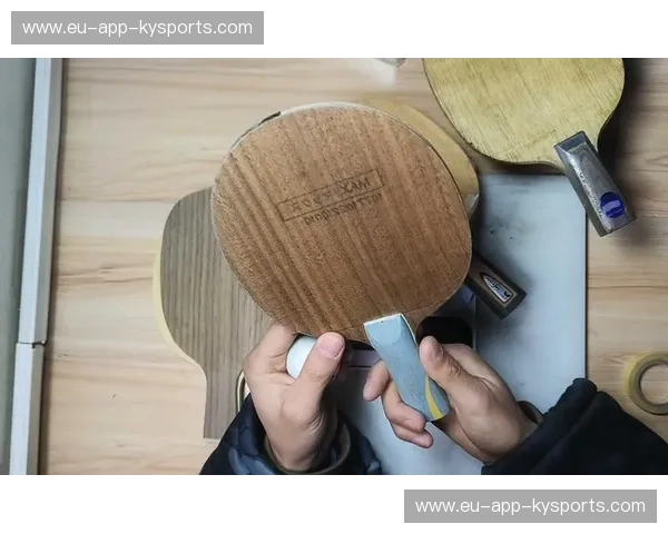 乒乓球横板技术：从入门到大师的系统训练